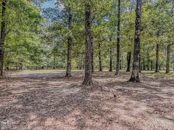 2100 Greene 514 Road, Paragould, AR 72450