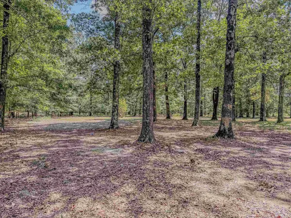 2100 Greene 514 Road, Paragould, AR 72450