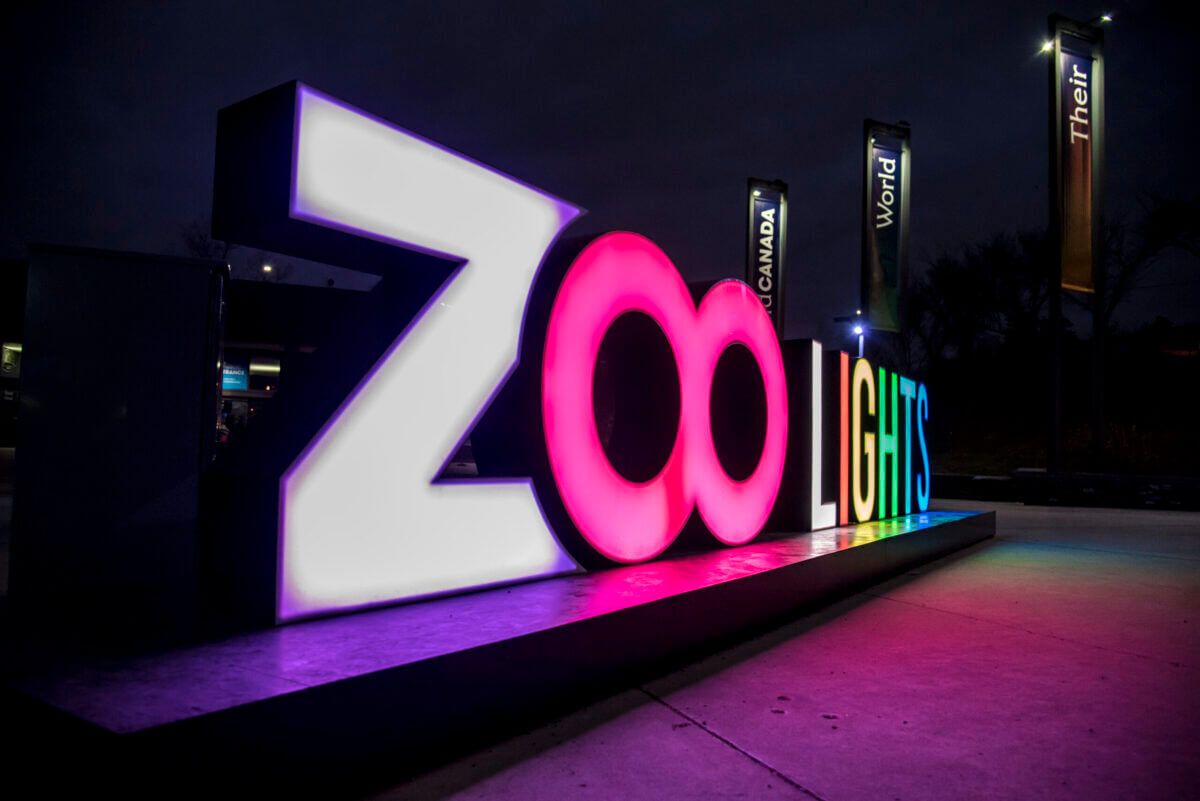Zoolights 2025 Christmas Light Display in Calgary Bridgeland