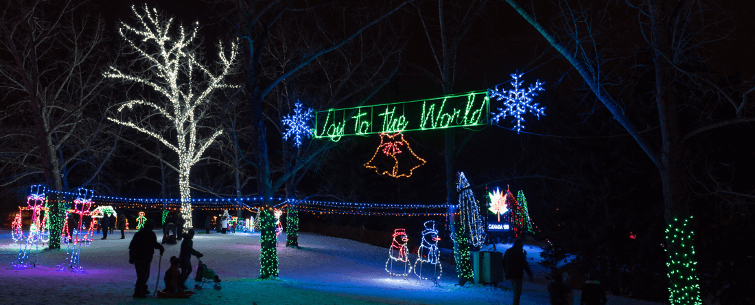 Joy to the World at Lions Festival of Lights