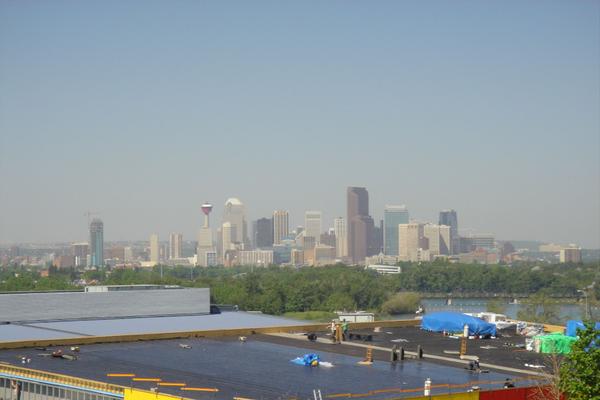 How Do I Legalize My Secondary Suite in Calgary Before the 2026 Amnesty Ends?