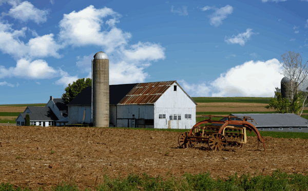 Calgary Farmland