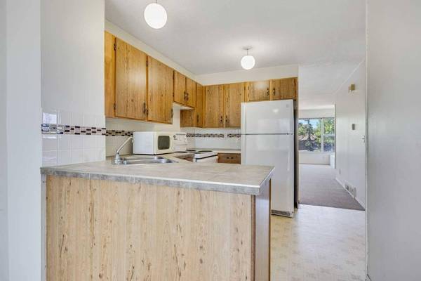 216 Templevale RD Northeast, Calgary, AB T1Y 4W2