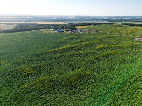 5035 Township Road 334, Rural Mountain View County, AB T0M 1X0