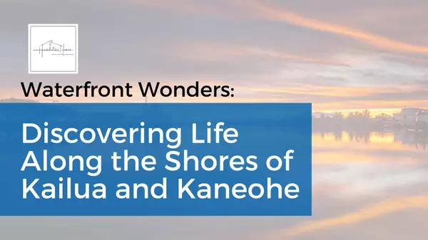 Waterfront Wonders: Discovering Life Along the Shores of Kailua and Kaneohe