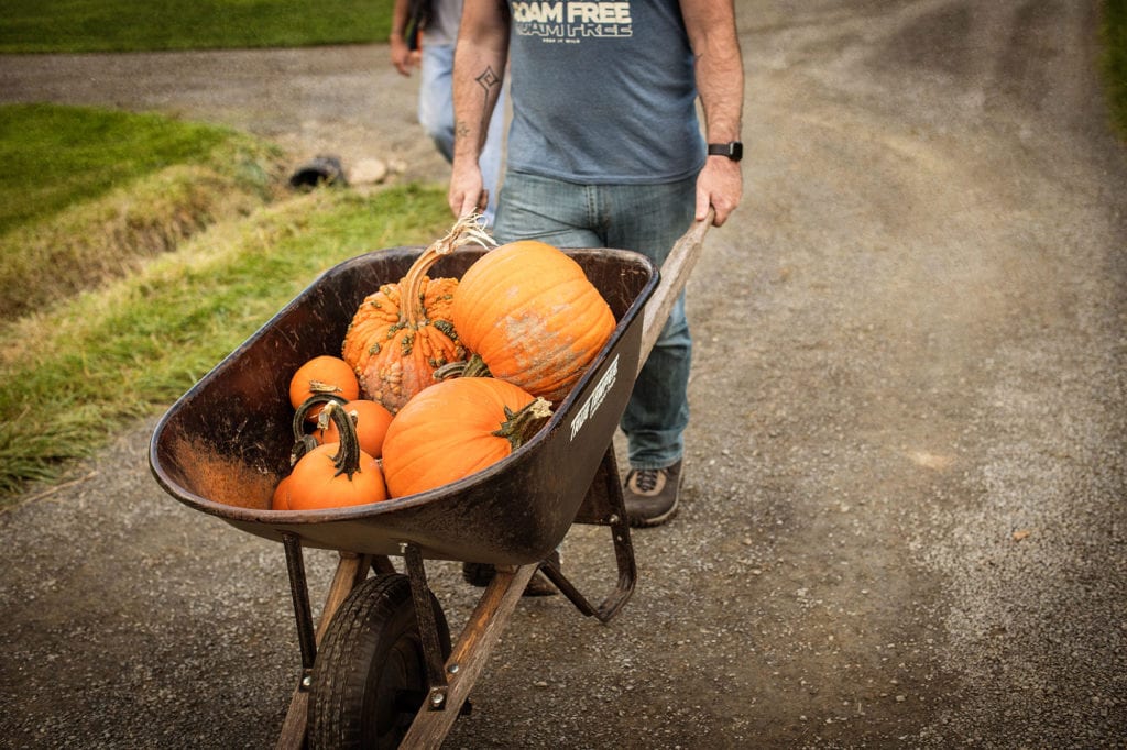 Pomeroy Farm: Pumpkin Lane After Dark