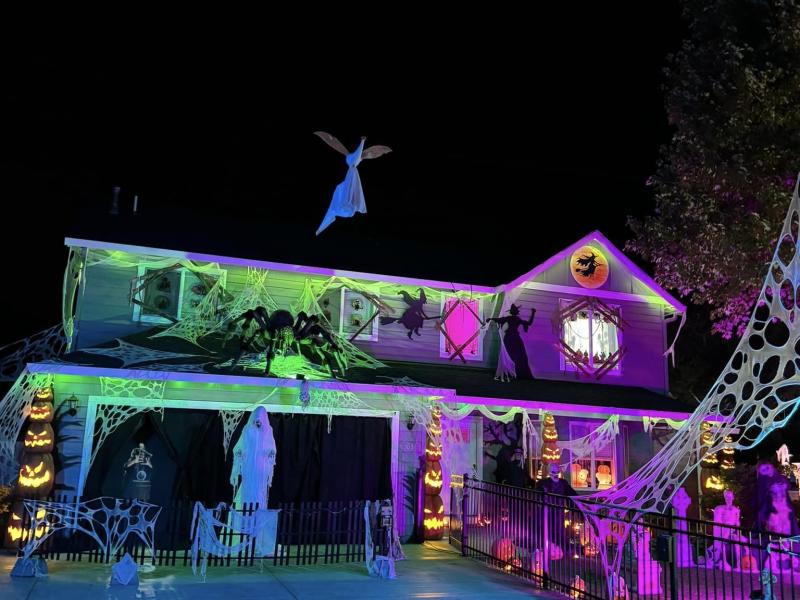 Holidays on Franklin Street