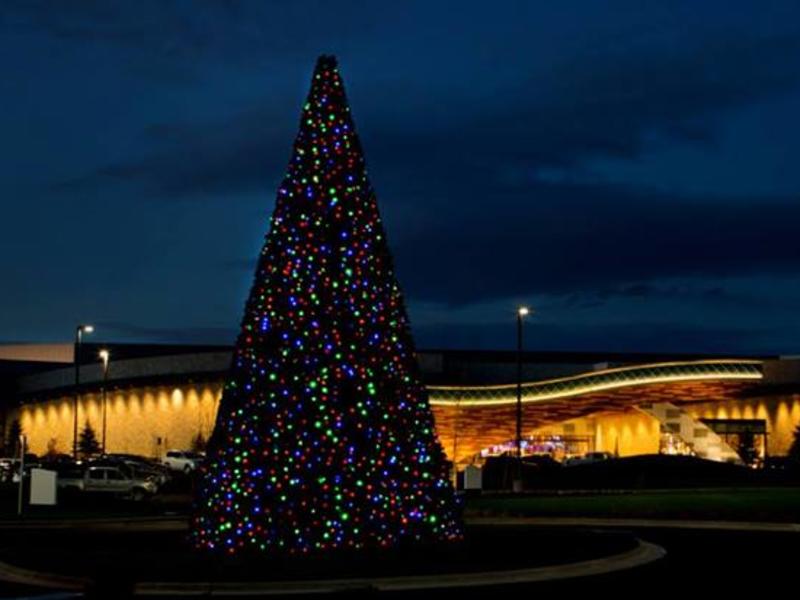 ilani Tree Lighting Ceremony