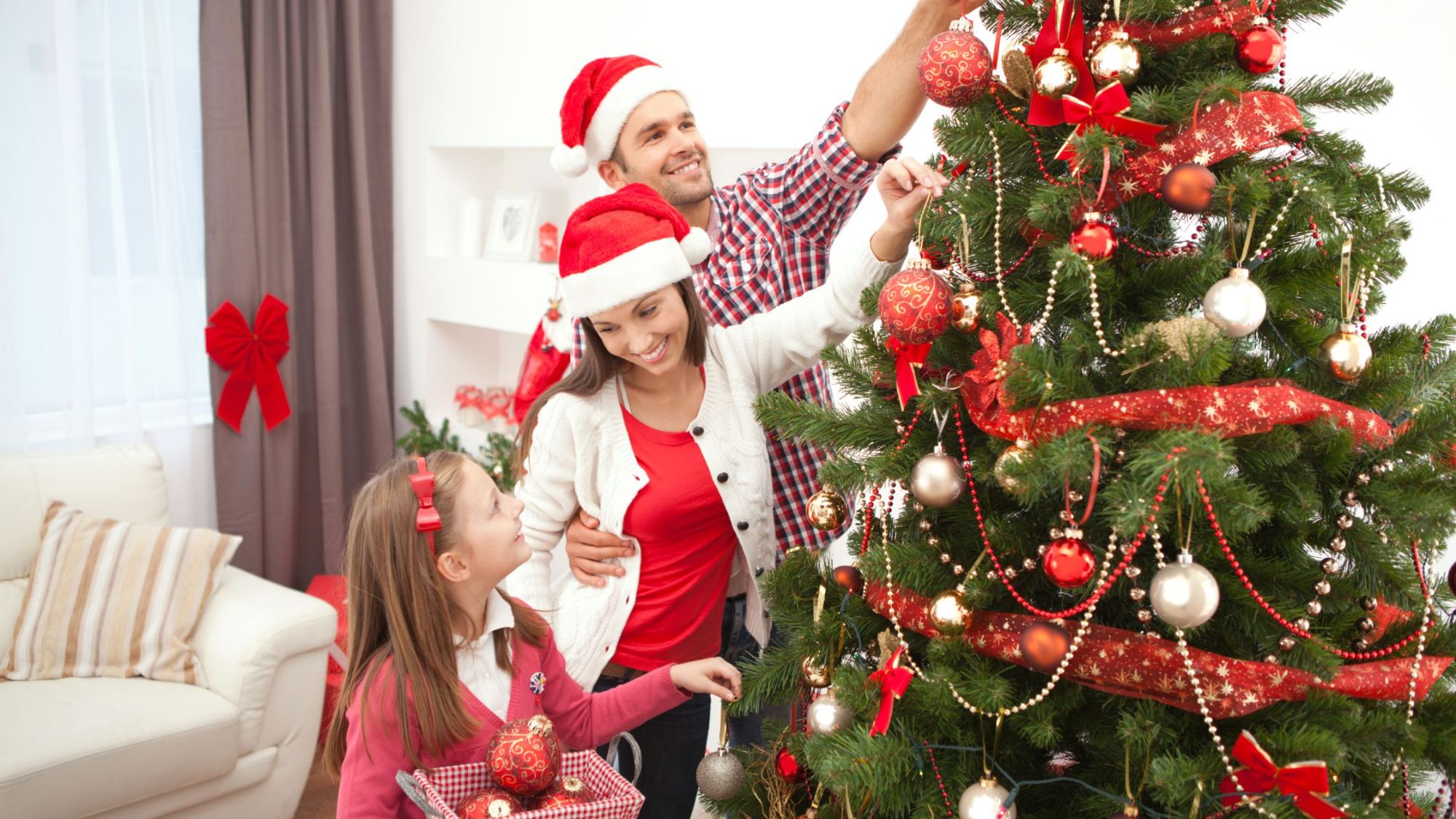 When Do You Put Up Your Christmas Tree