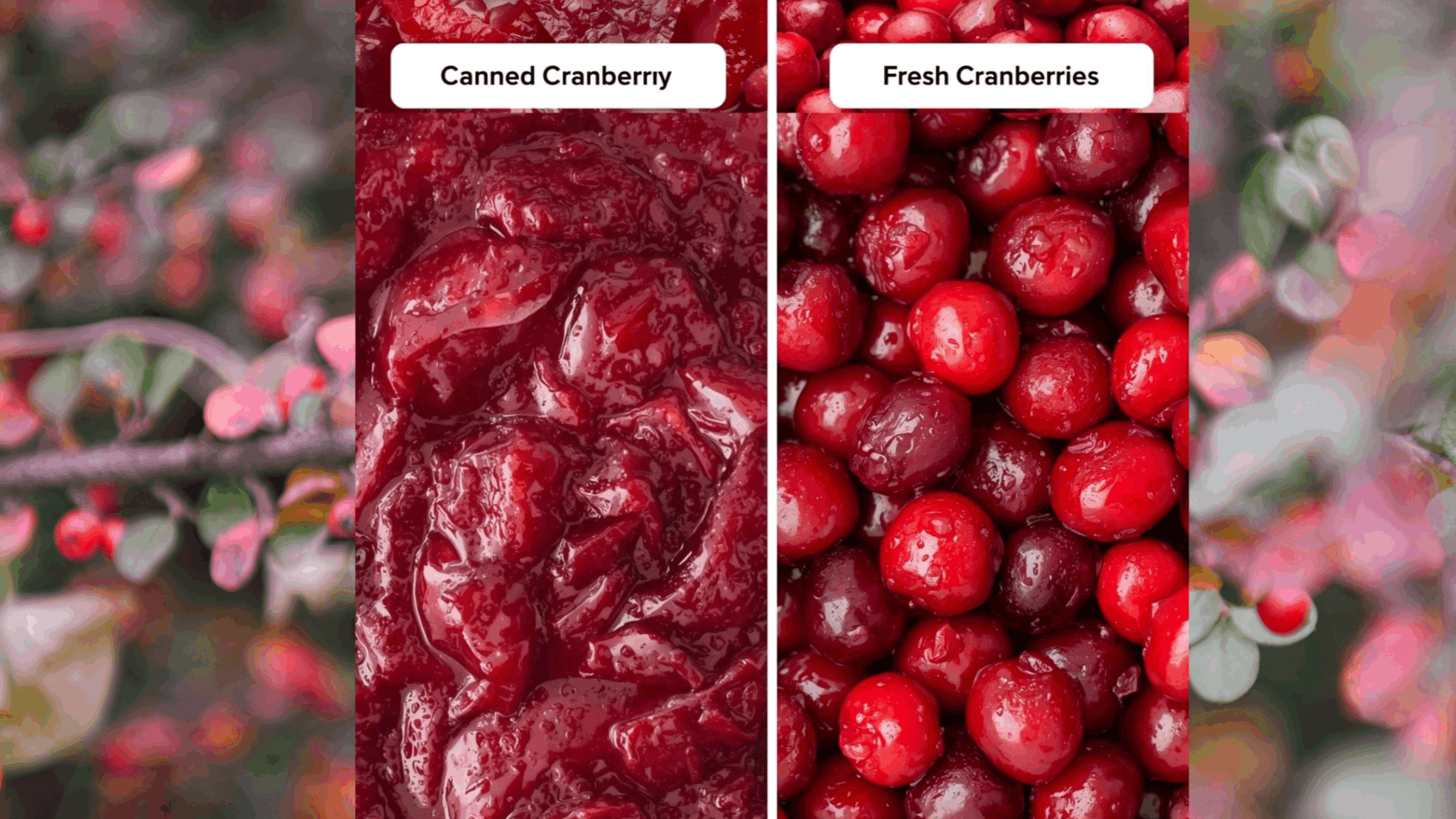 cranberry