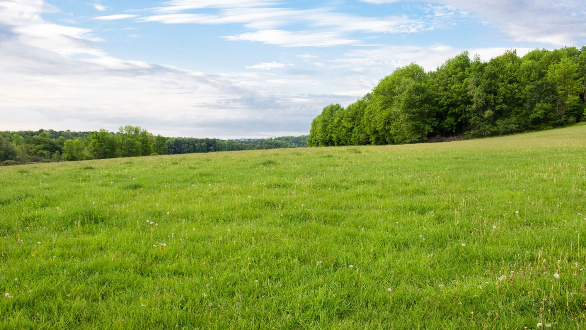 Why Farmland Still Matters in Clark County