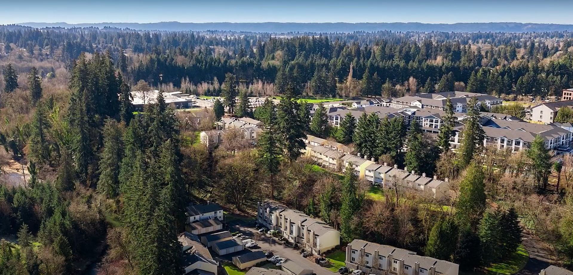 trending neighborhoods