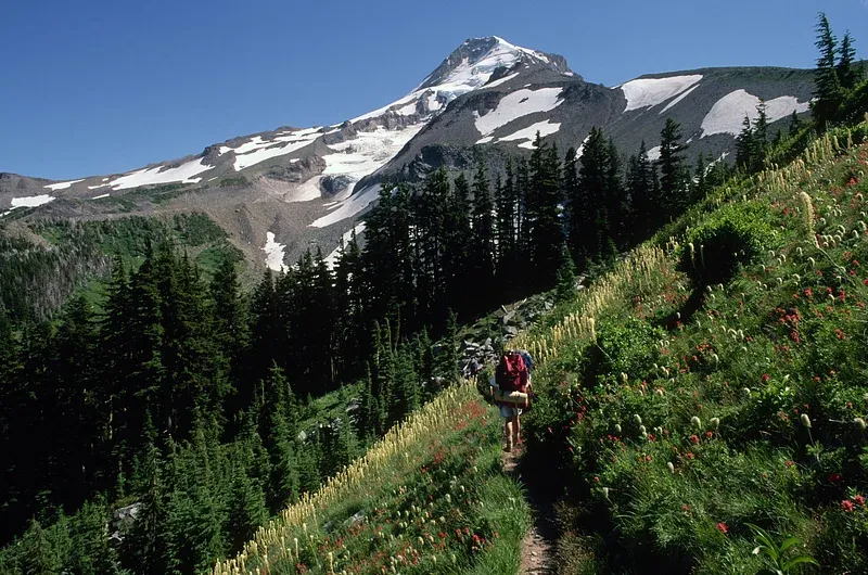 Hiking Trails in portland oregon