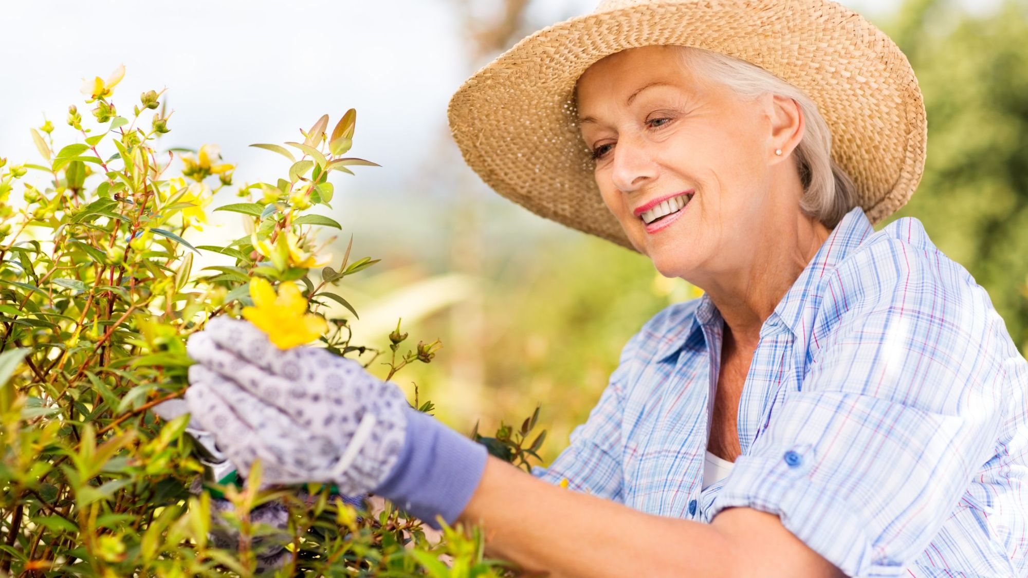 Mental Health Benefits of Gardening