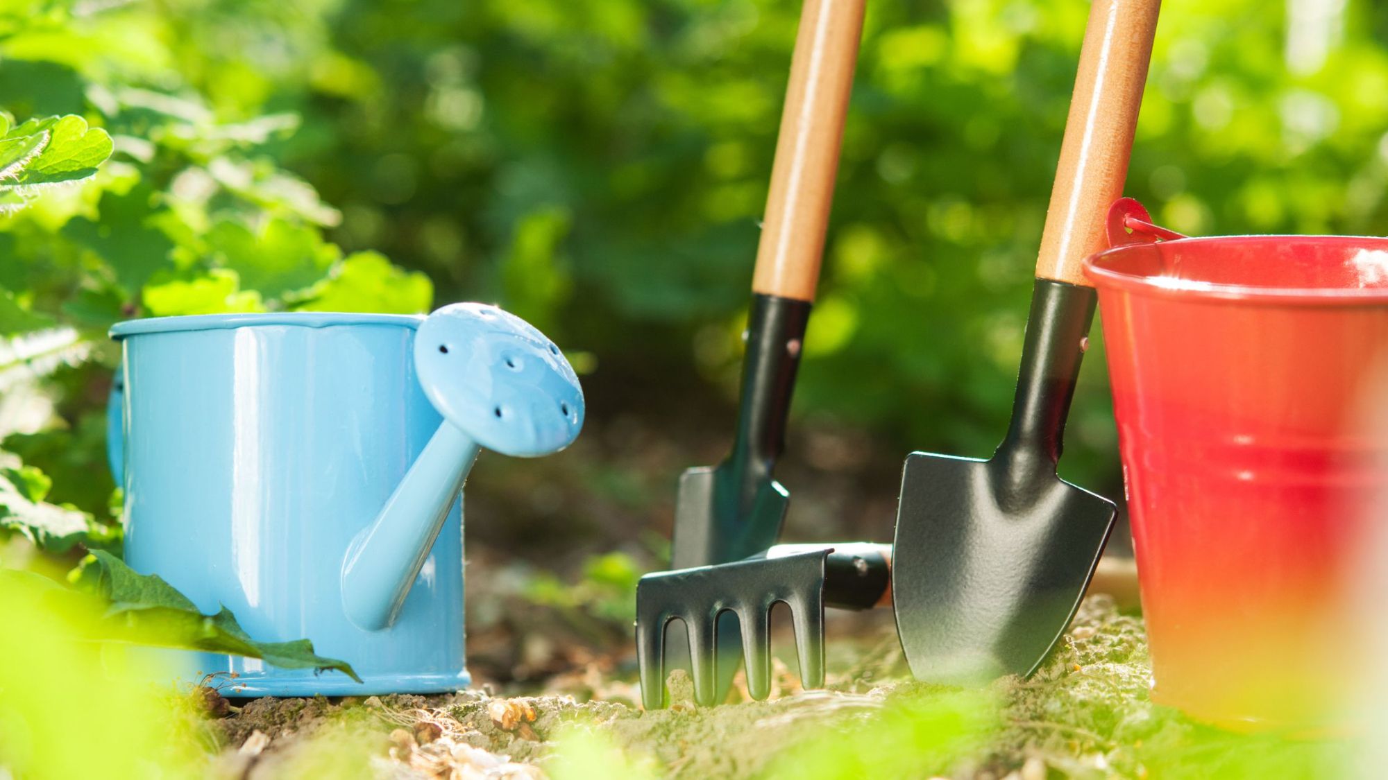 Best Beginner Tools to Get Started