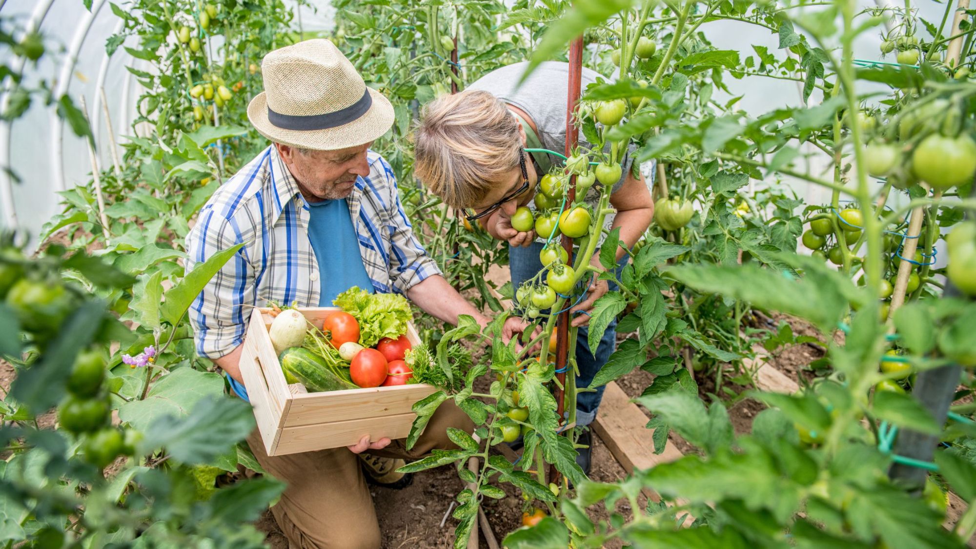 Grow Your Own Food in Vancouver, WA