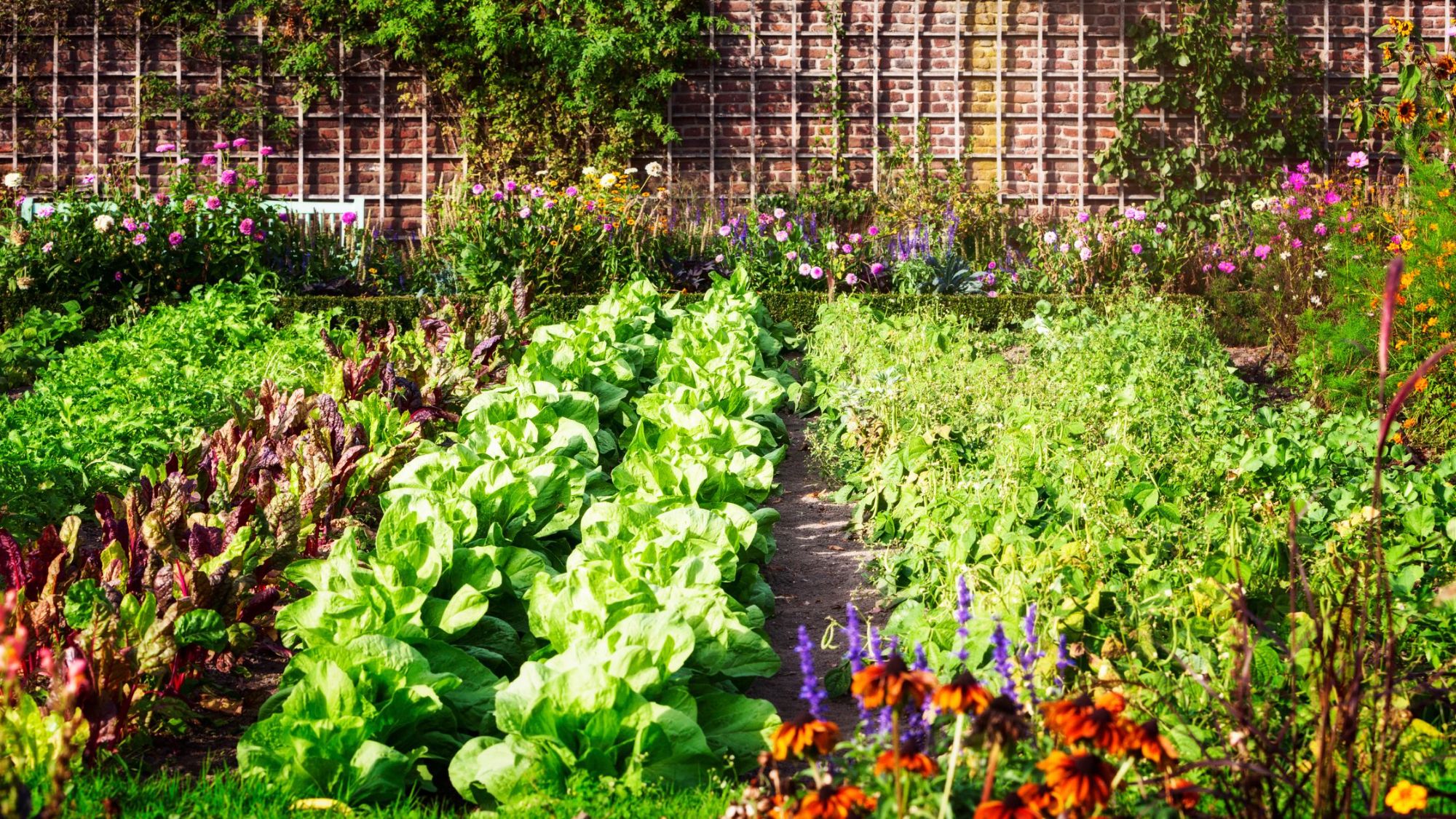 Make Your Garden Eco-Friendly