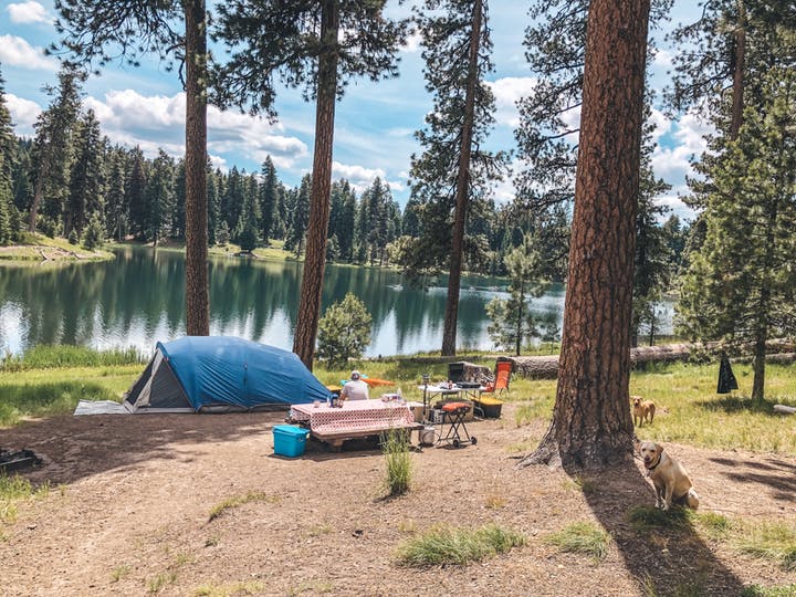 Best Camping Spots in Oregon