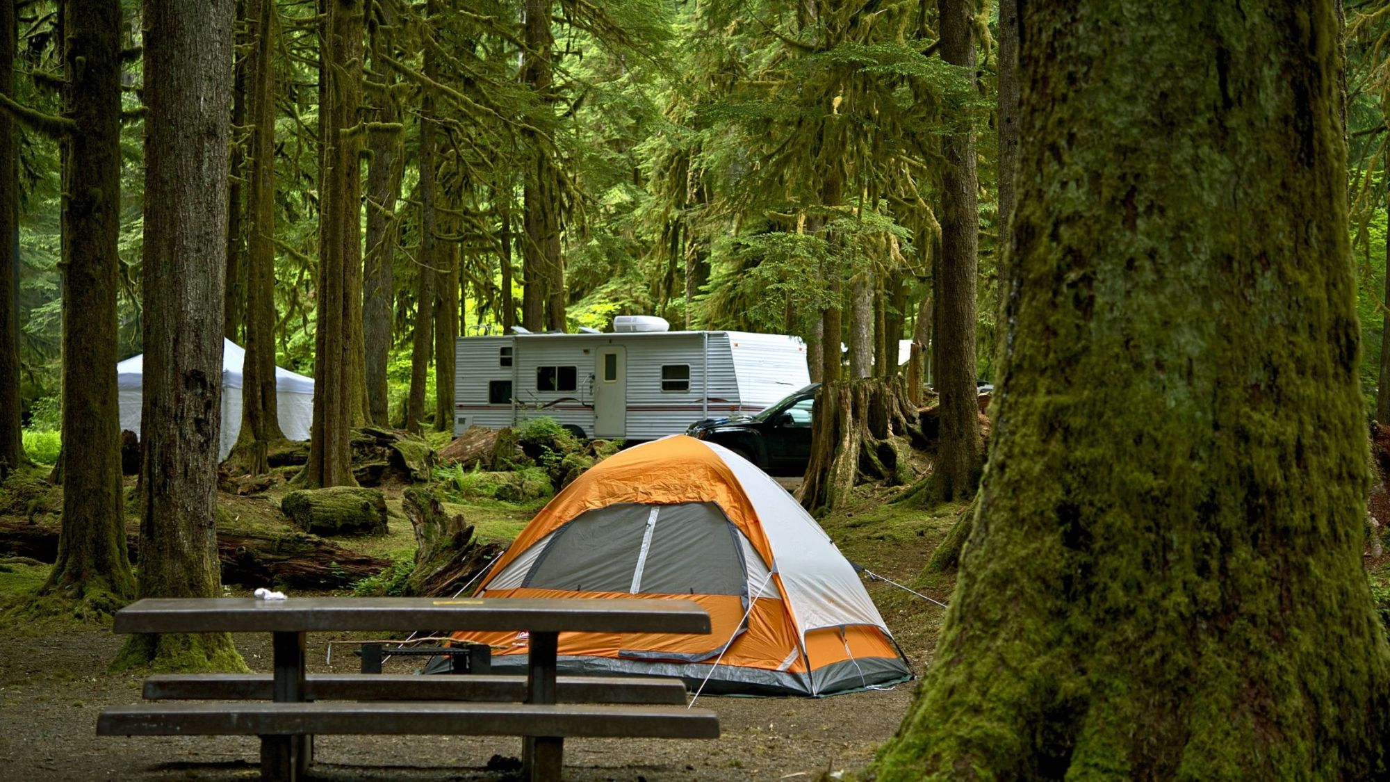  Best Camping spots in Washington and Oregon