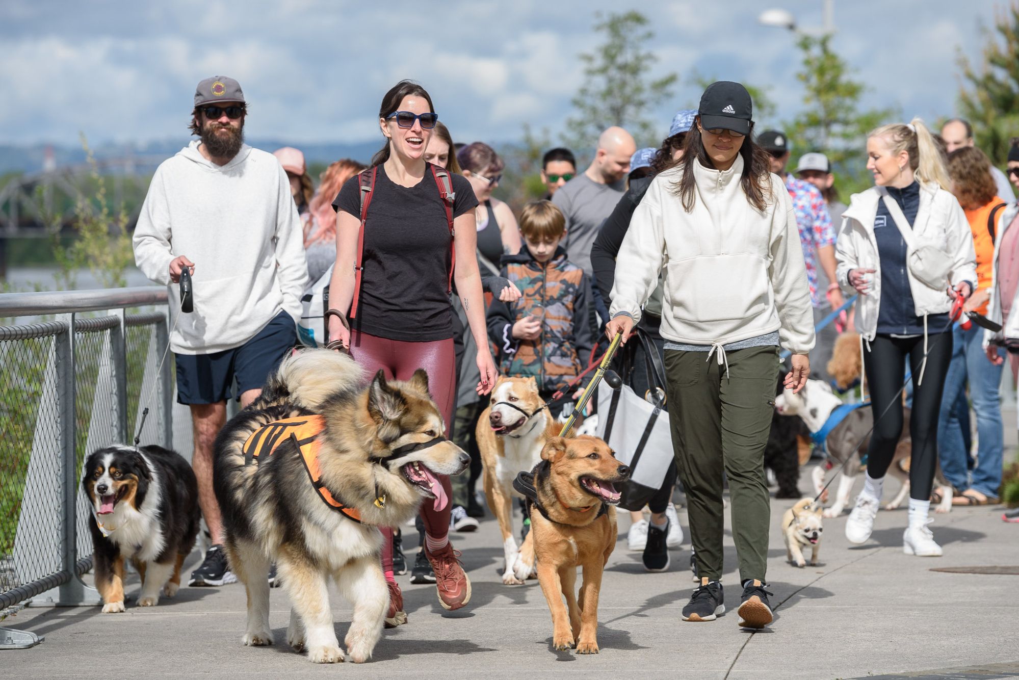 Walk/Run for the Animals