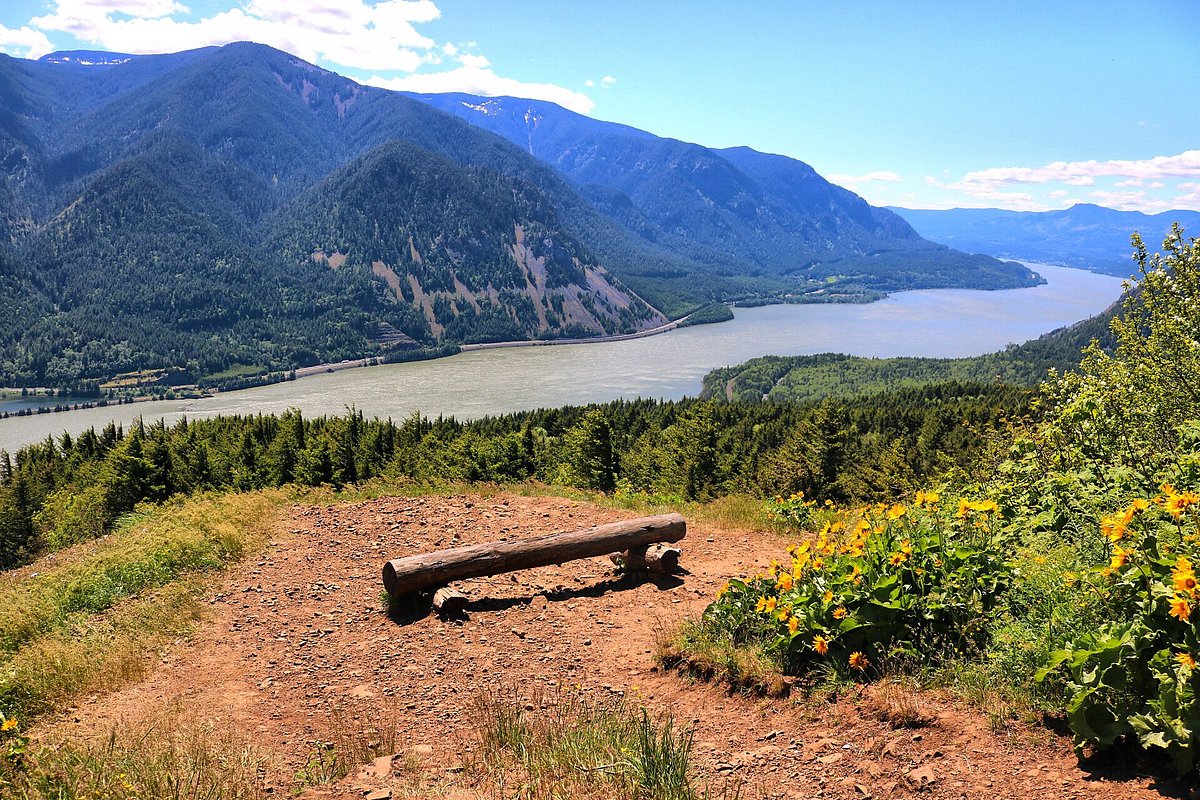Dog Mountain