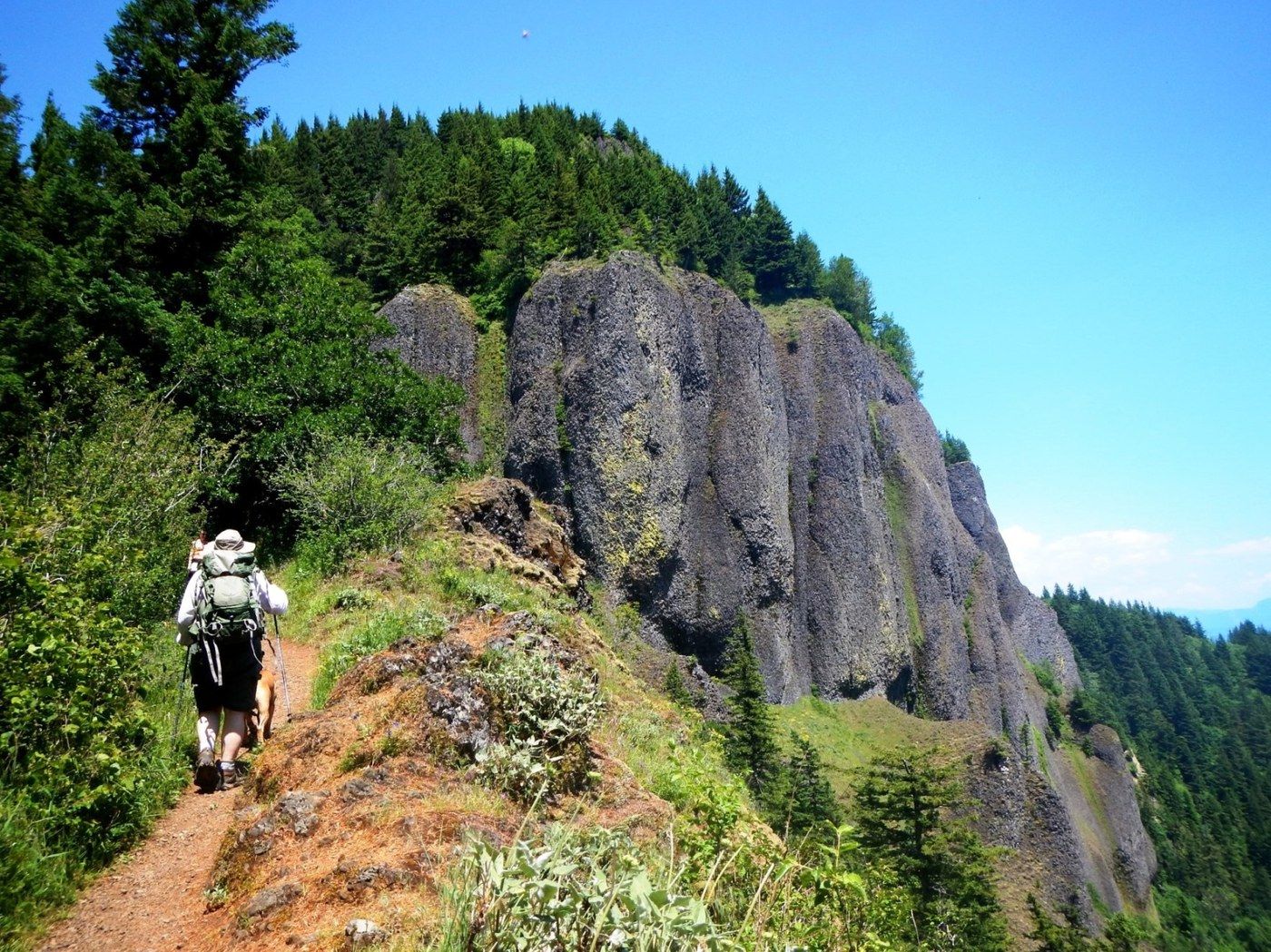 Hamilton Mountain