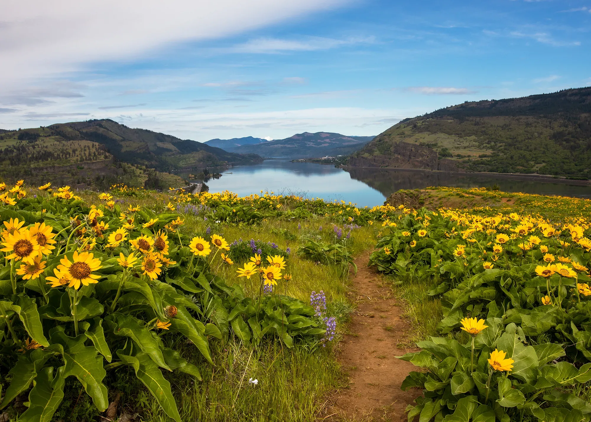 Mosier Plateau