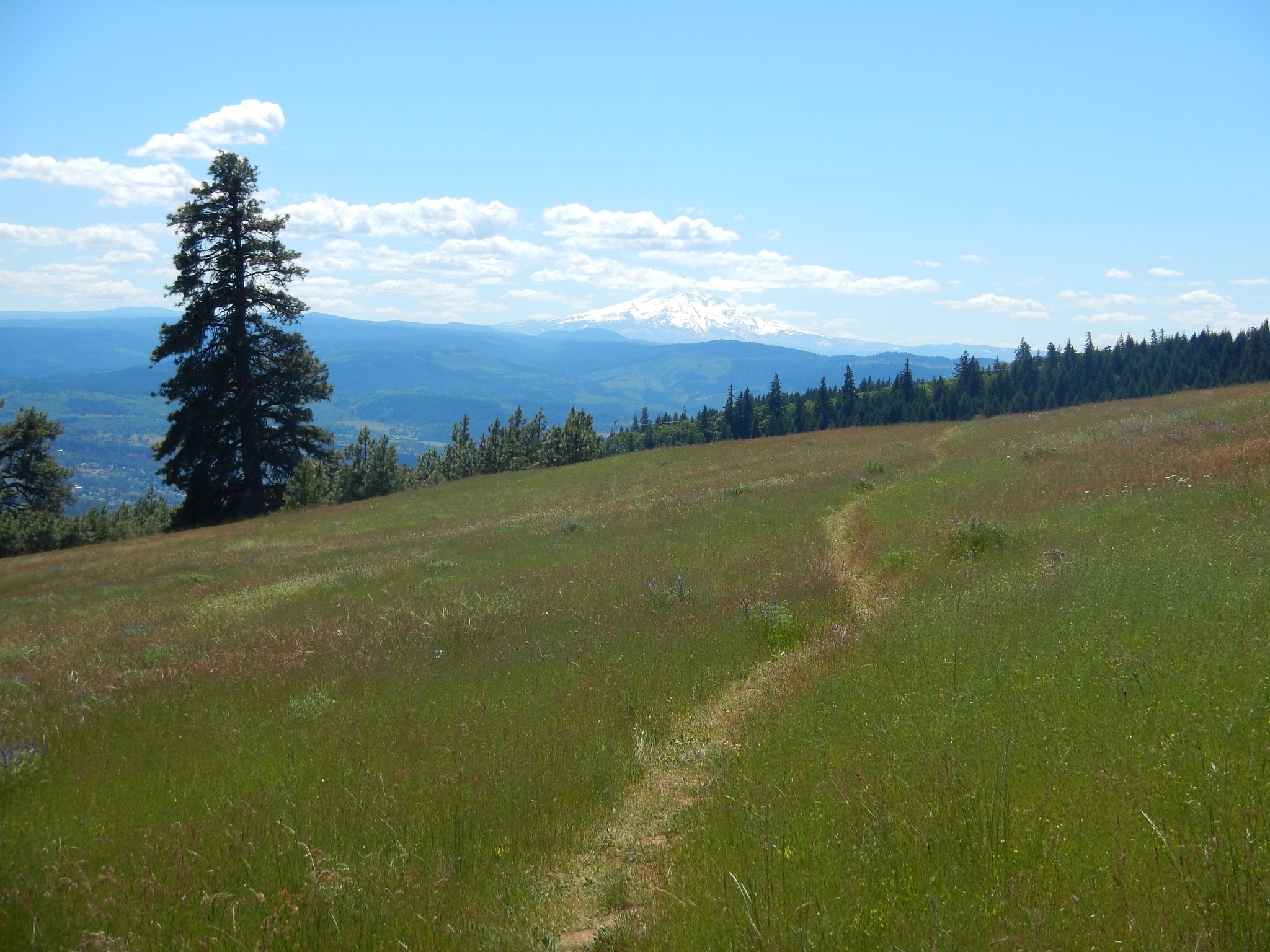 Catherine Creek