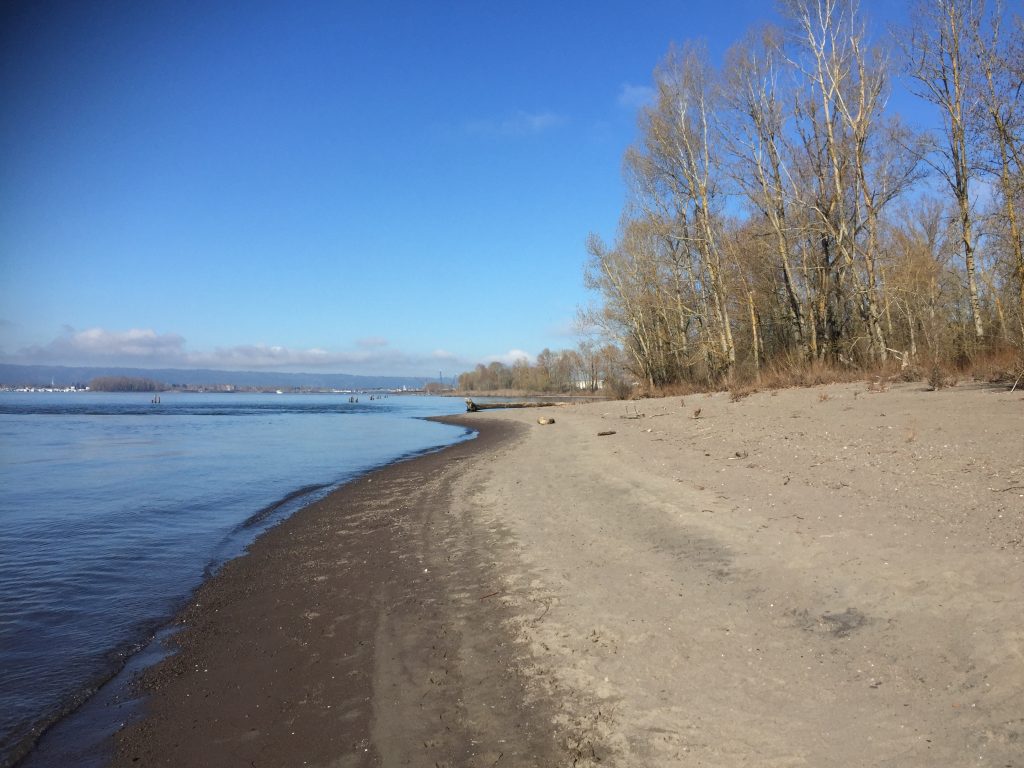 Wintler Community Park