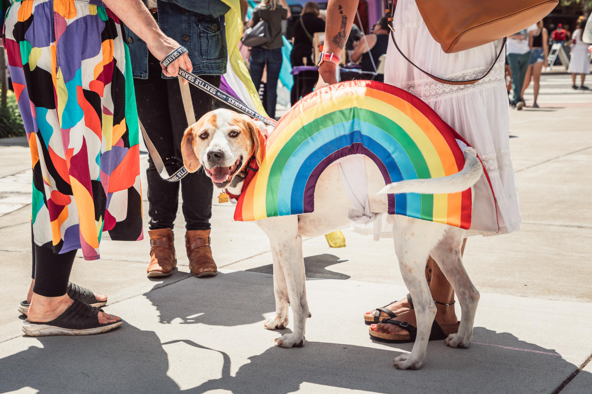 LGBTQ+ Pride in Vancouver