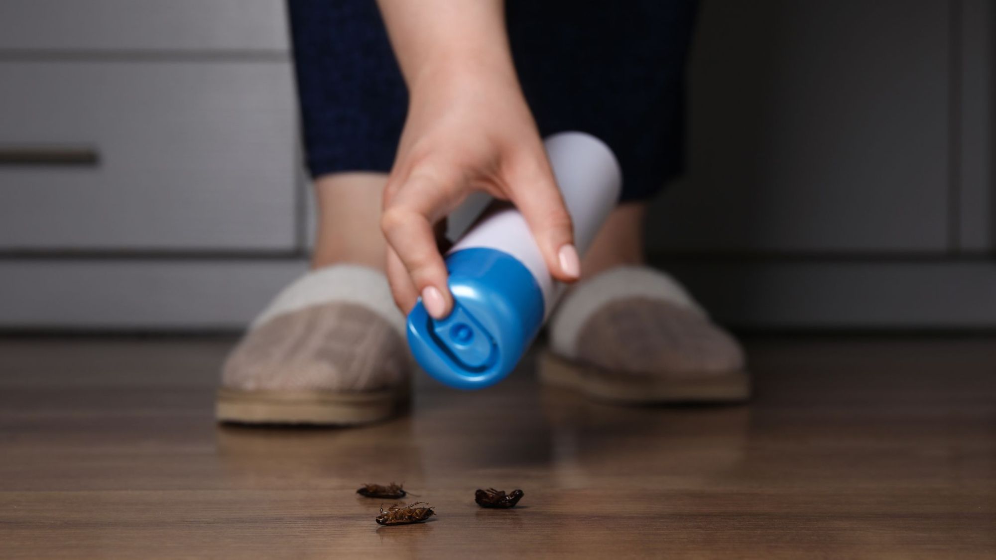 Summer Pest Prevention