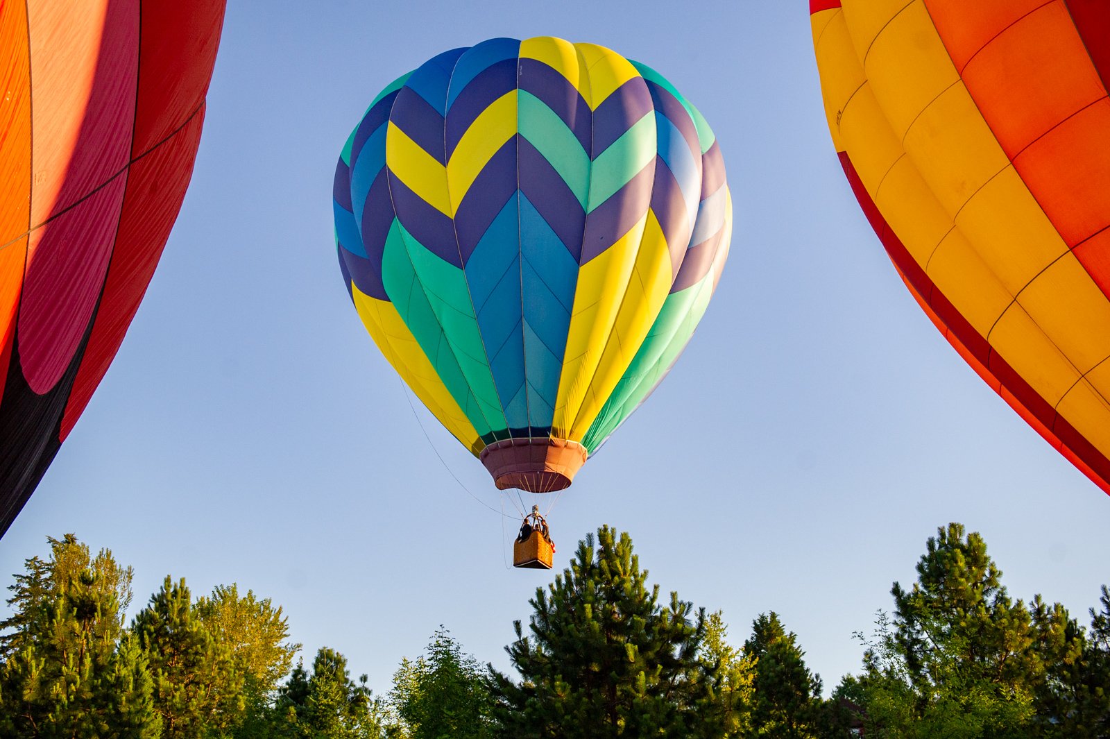 Festival of Balloons