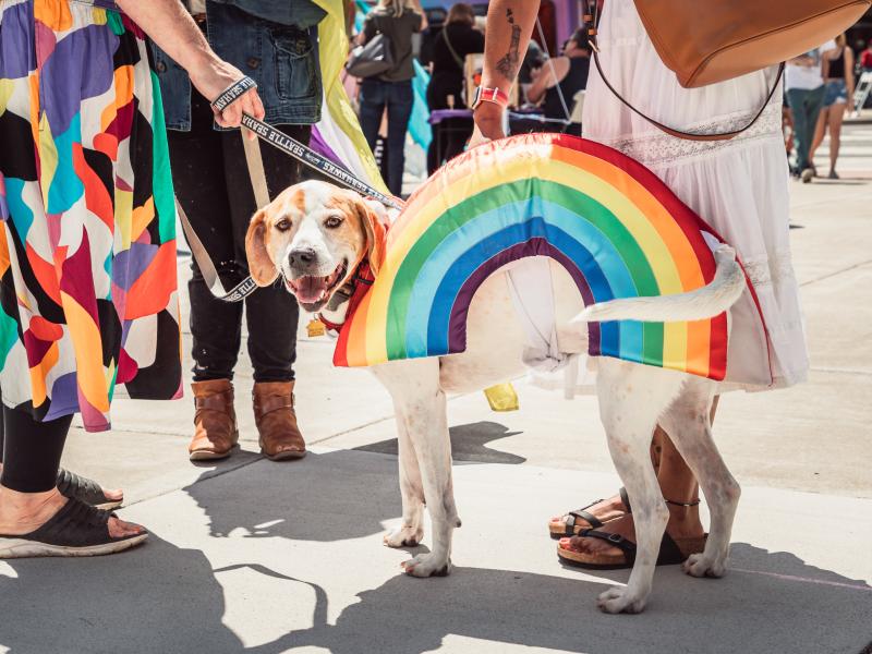 Saturday in the park pride