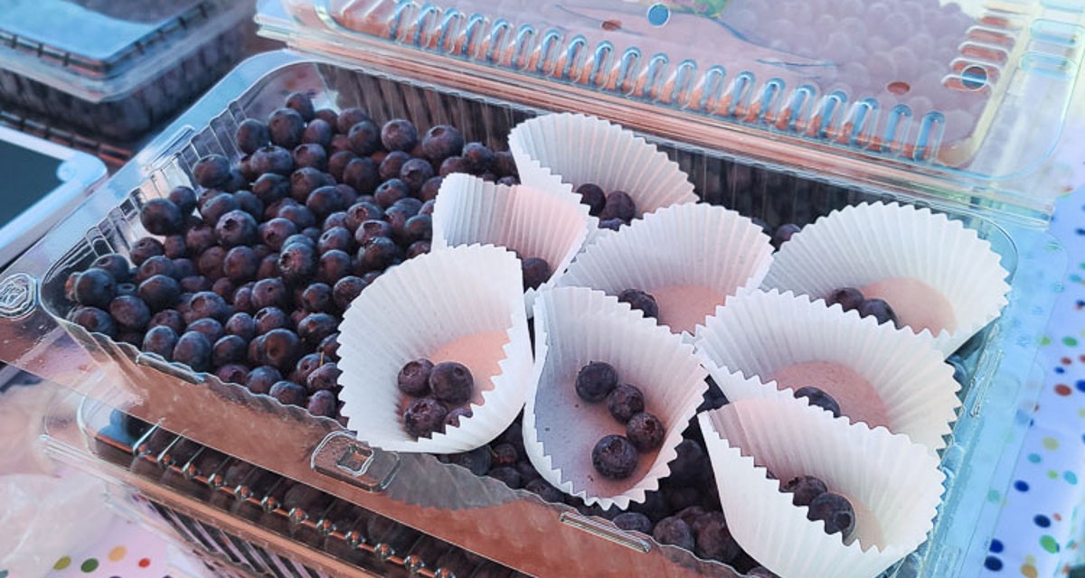 Hockinson Blueberry Festival – Hockinson, WA