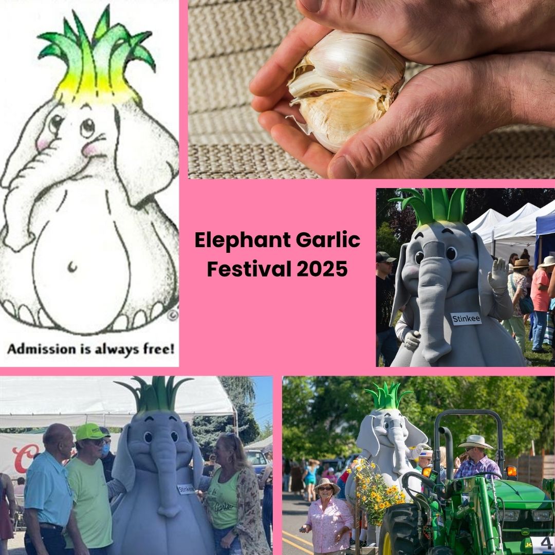Elephant Garlic Festival 2025