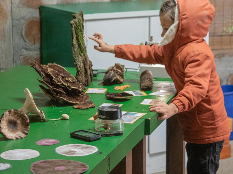 Fire, Fungi, and Community Builders Nature Day at Columbia Springs