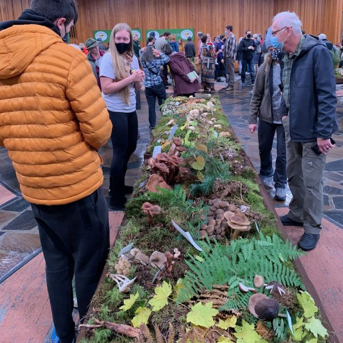 Oregon Mycological Society Fall Mushroom Show — Portland, OR