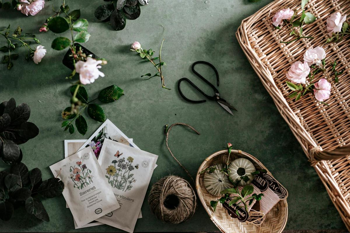 Seeds and gardening