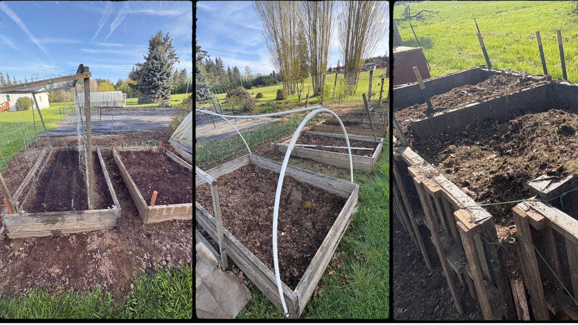 Raised garden boxes for vegetable gardening in Vancouver WA