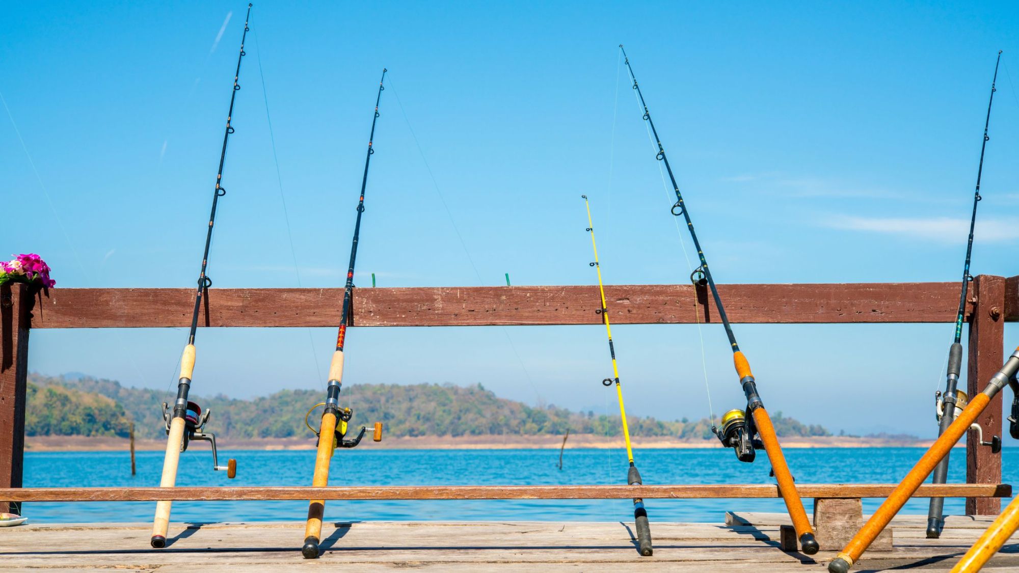 Where to Take Dad Fishing This Father's Day Weekend
