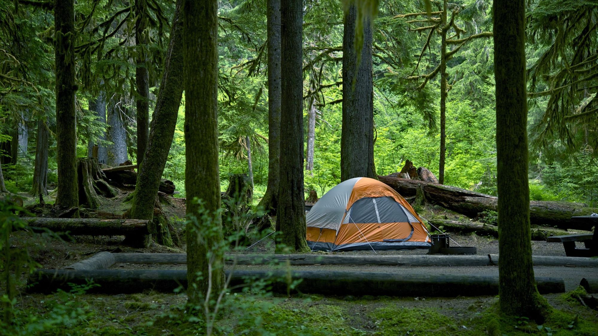 Washington Camping Spots