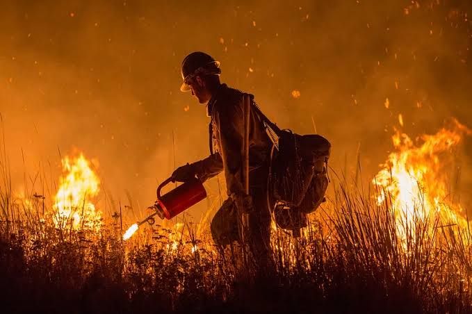 Does Living in a Wildfire-Prone Area of Clark County Affect My Insurance?