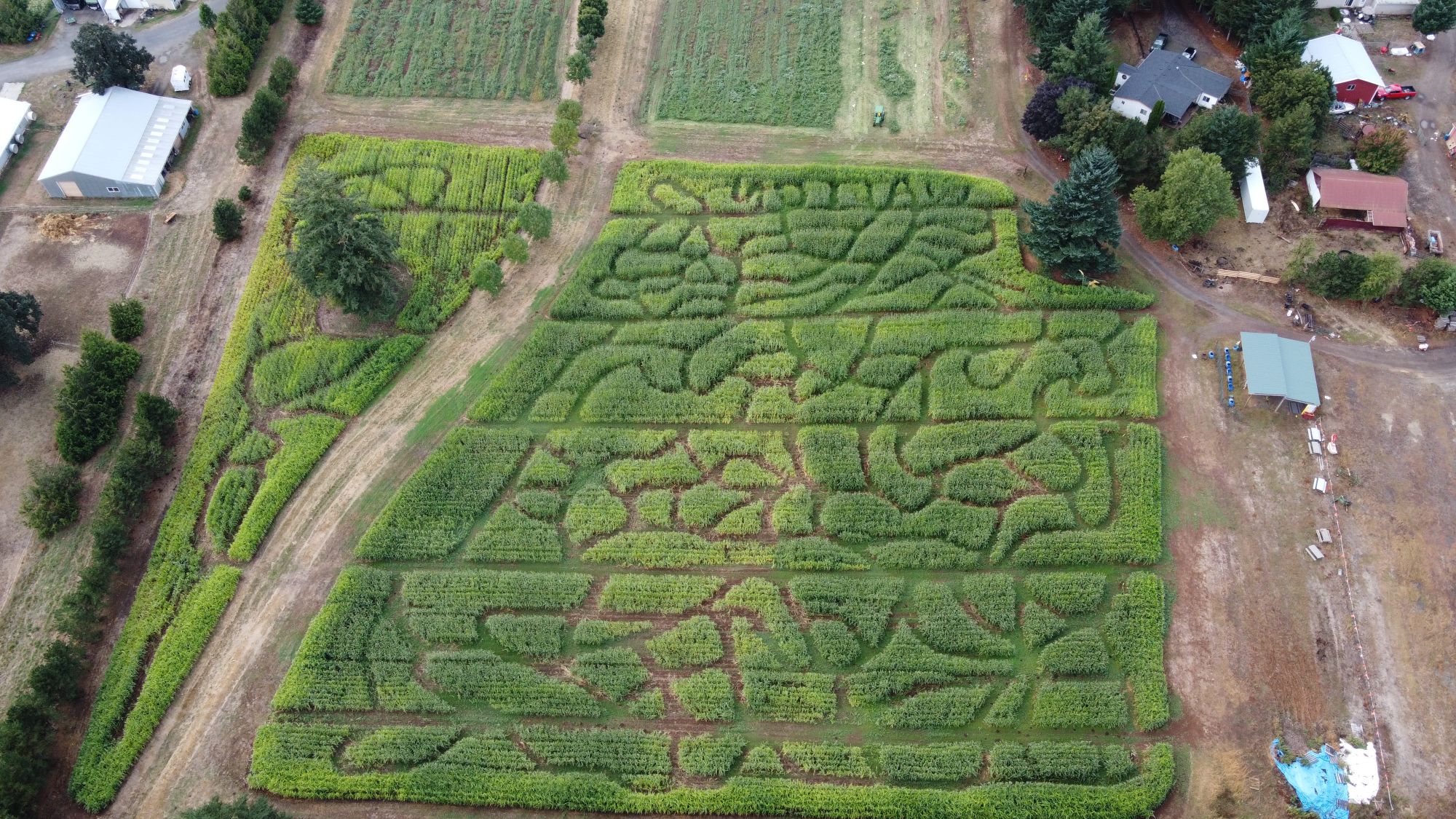 Walton's Farms - Camas, WA