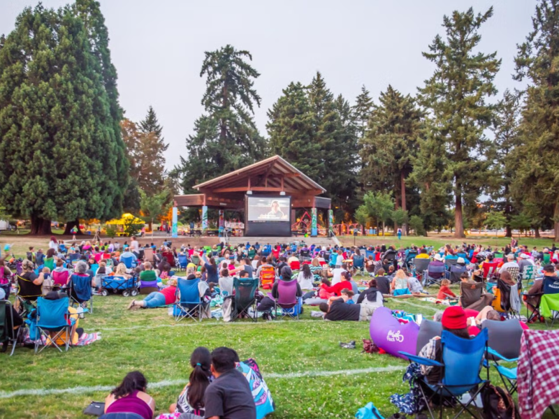 Friday Night Movies in the Parks