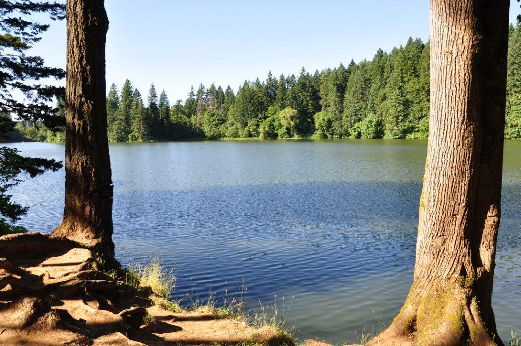 Lacamas Lake Regional Park (Camas, WA)