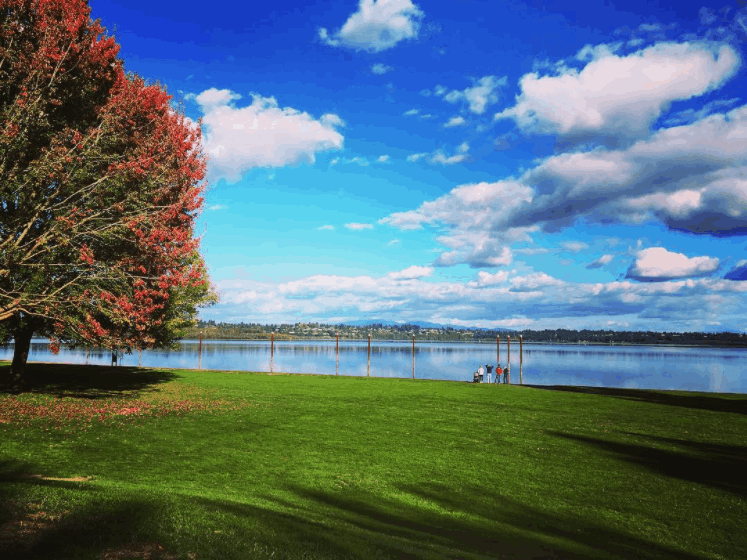 Vancouver Lake Regional Park