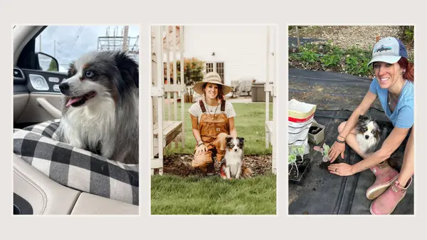 National Take Your Dog to Work Day 2026: Vancouver, WA Guide