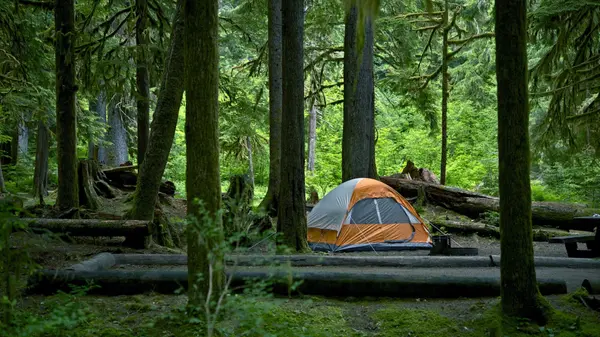 Washington Camping Spots 2026: New Sites & Fire Maps