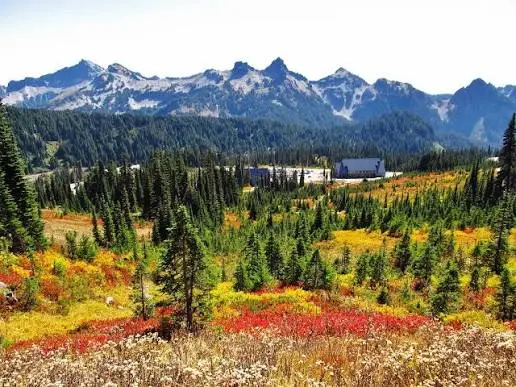 Best Fall Foliage Drives Near Vancouver, WA (2026 Guide)