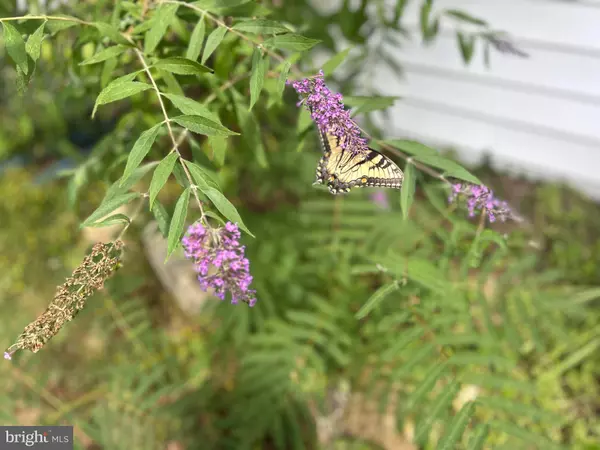 303 W PINE STREET, Carlisle, PA 17013